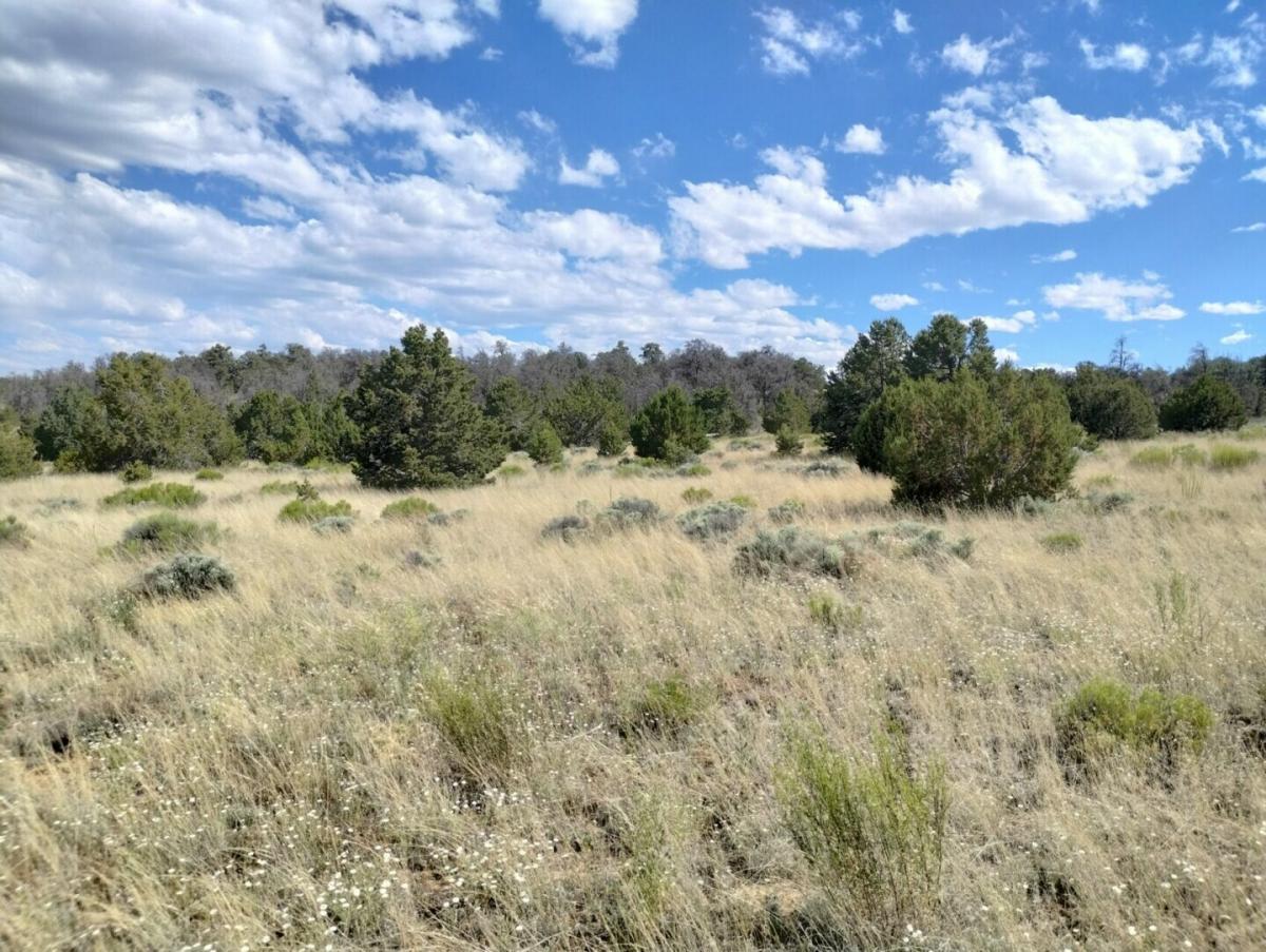 Picture of Residential Land For Sale in Ramah, New Mexico, United States