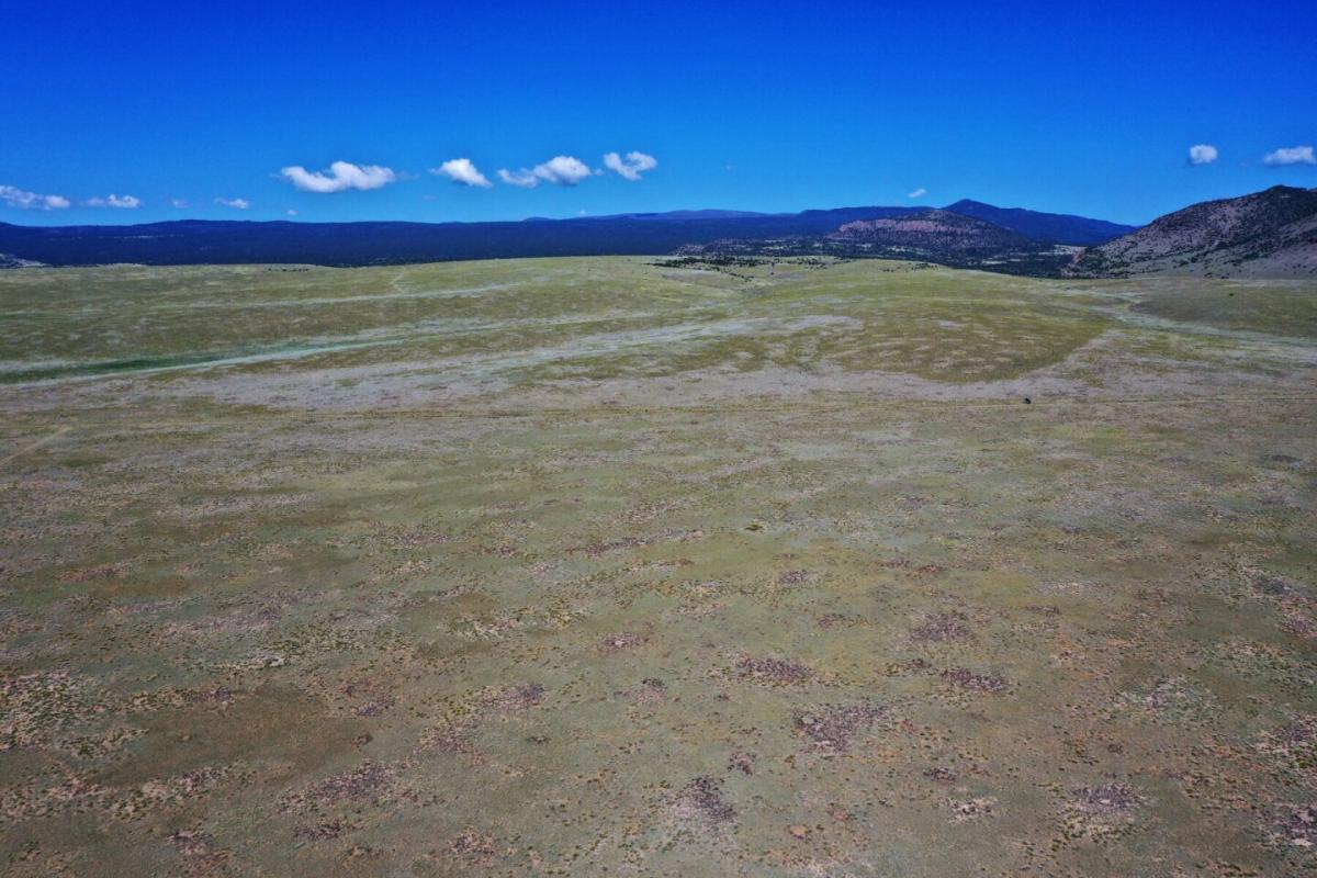 Picture of Residential Land For Sale in La Jara, Colorado, United States