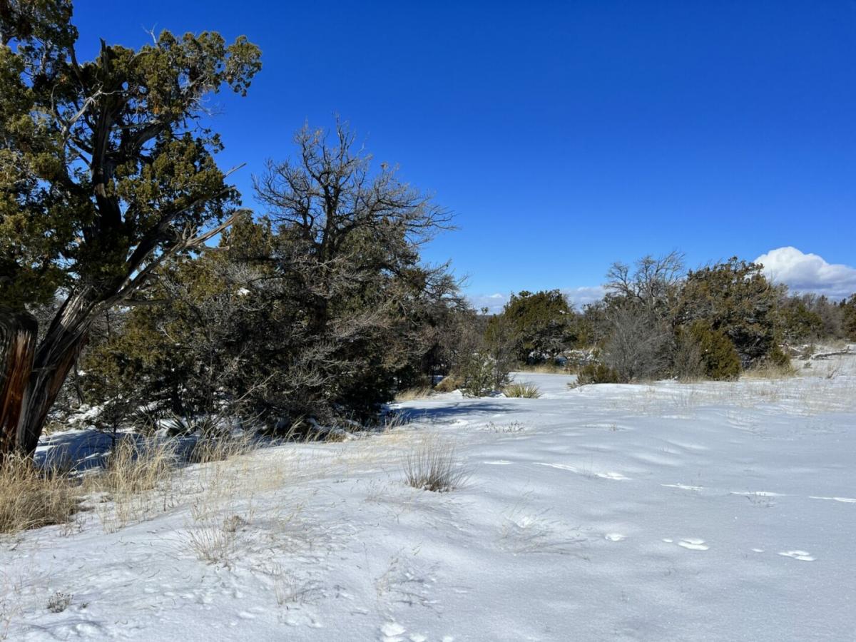 Picture of Residential Land For Sale in Ramah, New Mexico, United States