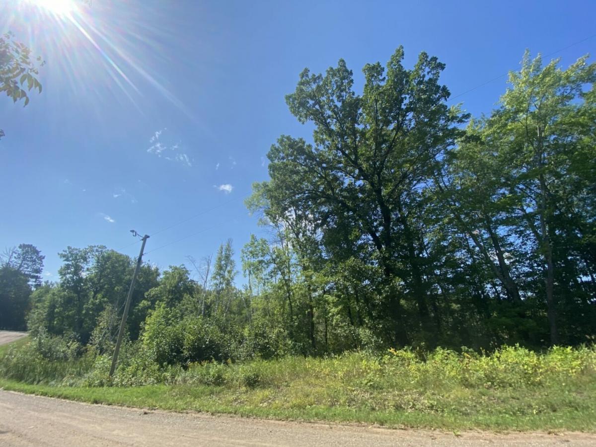 Picture of Residential Land For Sale in Garrison, Minnesota, United States