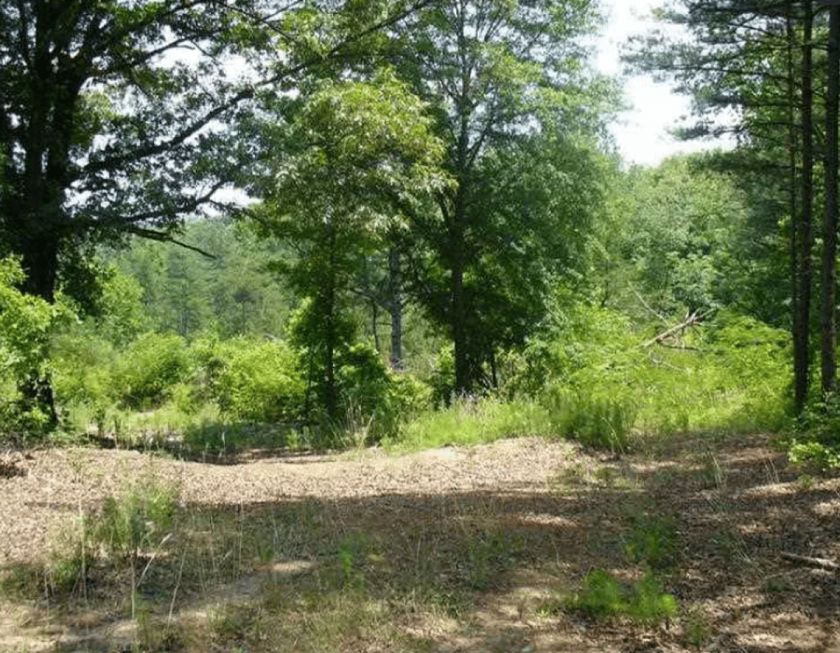 Picture of Residential Land For Sale in Villa Rica, Georgia, United States