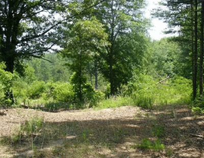 Residential Land For Sale in Villa Rica, Georgia