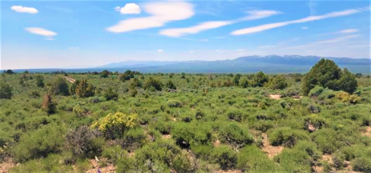 Picture of Residential Land For Sale in Montello, Nevada, United States