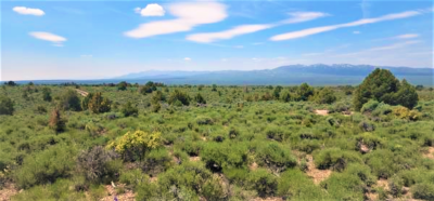 Residential Land For Sale in Montello, Nevada