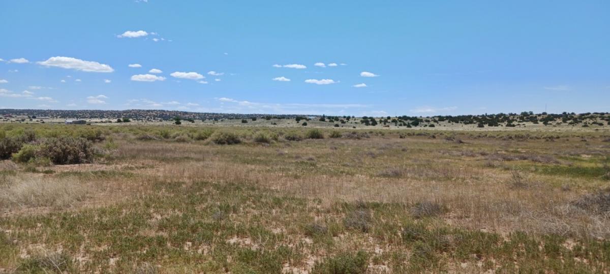 Picture of Residential Land For Sale in Sanders, Arizona, United States