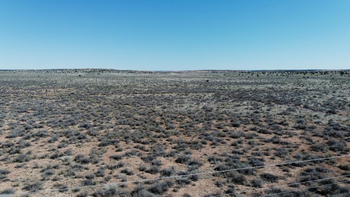 Picture of Residential Land For Sale in Chambers, Arizona, United States