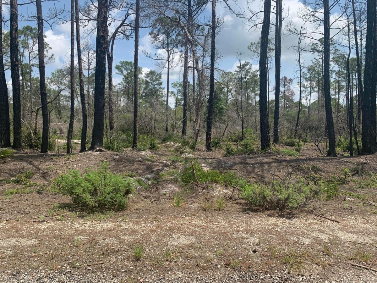 Picture of Residential Land For Sale in Lake Placid, Florida, United States