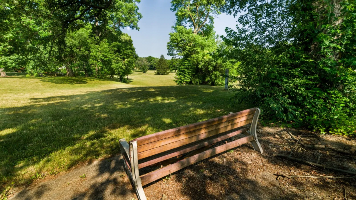 Picture of Residential Land For Sale in Decatur, Illinois, United States