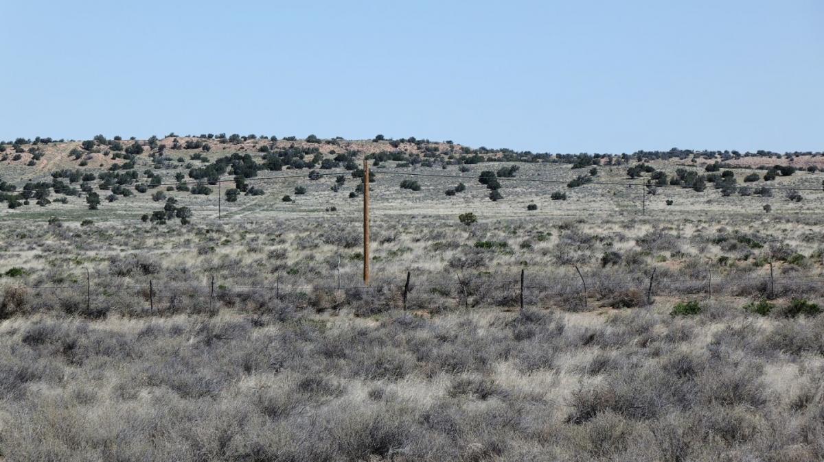 Picture of Residential Land For Sale in Chambers, Arizona, United States