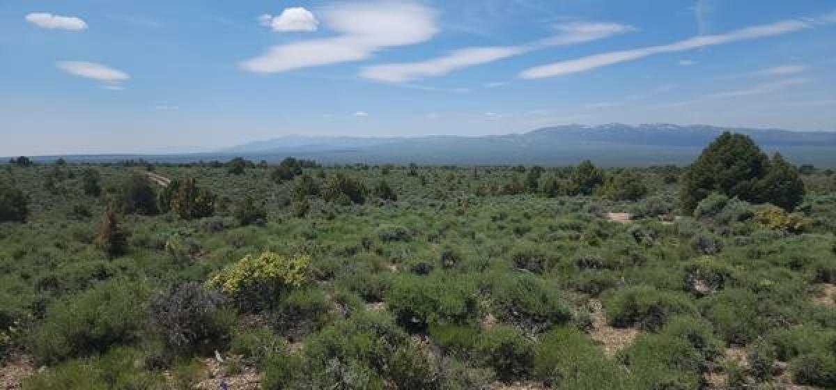 Picture of Residential Land For Sale in Montello, Nevada, United States