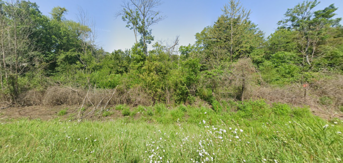 Picture of Residential Land For Sale in Lead Hill, Arkansas, United States