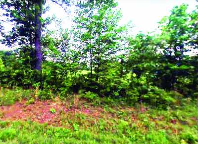 Residential Land For Sale in Deridder, Louisiana