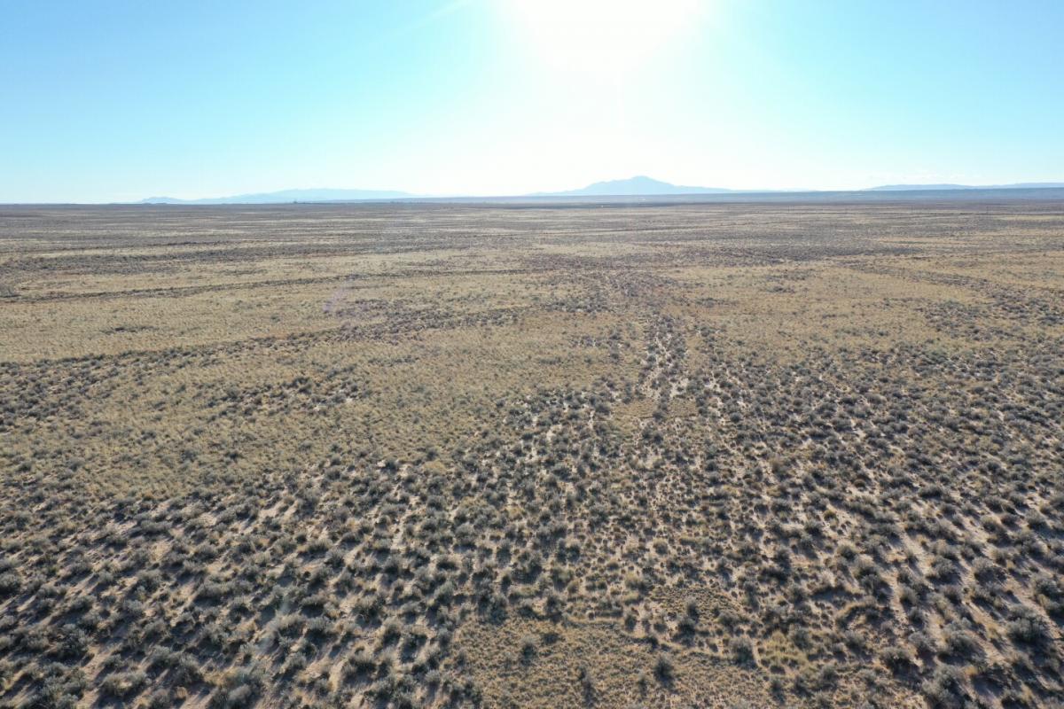 Picture of Residential Land For Sale in Los Lunas, New Mexico, United States