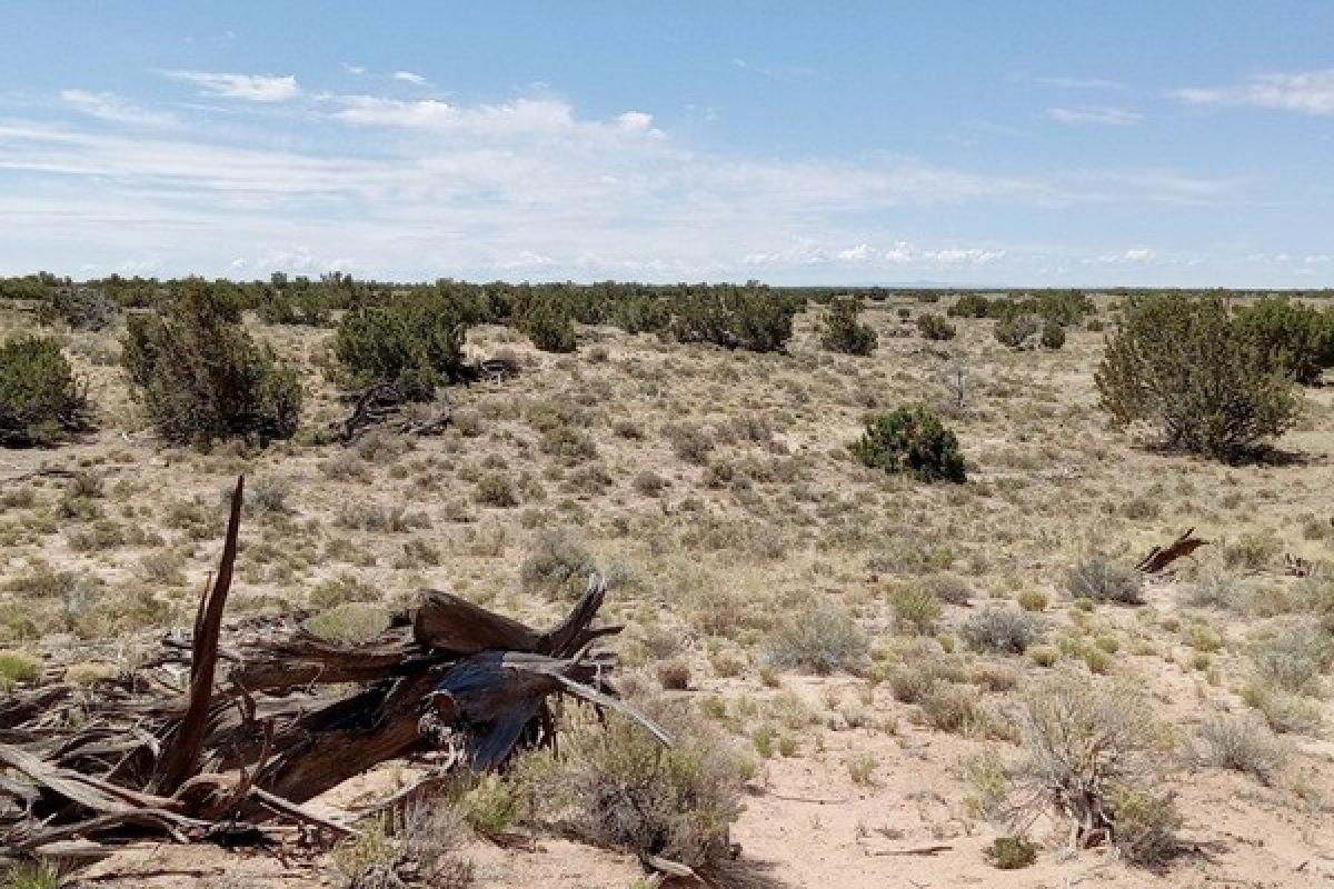 Picture of Residential Land For Sale in Chambers, Arizona, United States