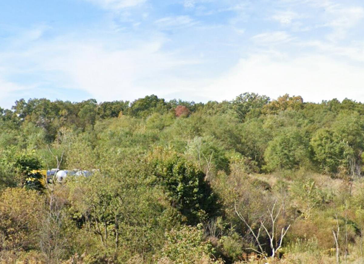 Picture of Residential Land For Sale in Mc Donald, Ohio, United States