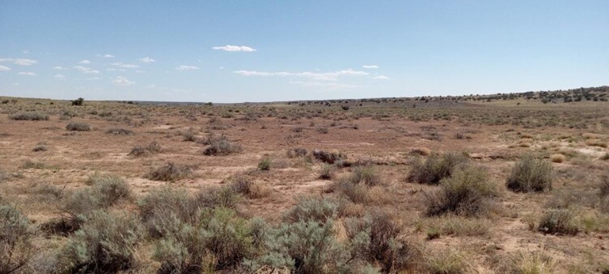 Picture of Residential Land For Sale in Chambers, Arizona, United States