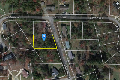 Residential Land For Sale in Odenville, Alabama