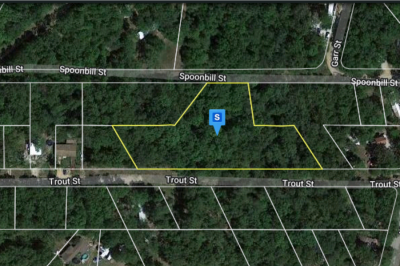 Residential Land For Sale in Kissee Mills, Missouri