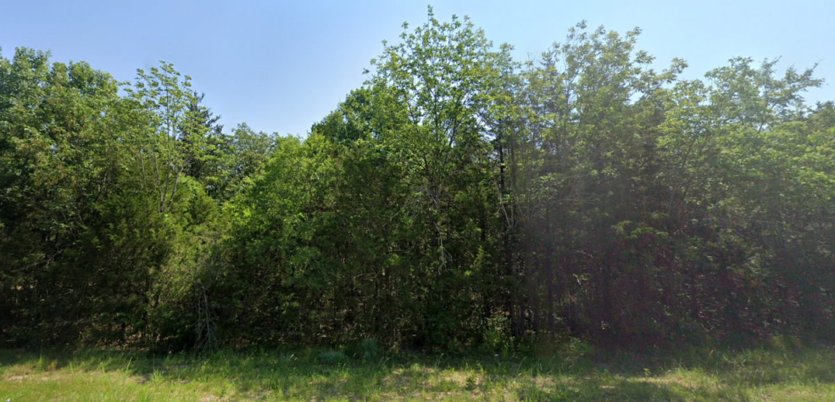 Picture of Residential Land For Sale in Diamond City, Arkansas, United States