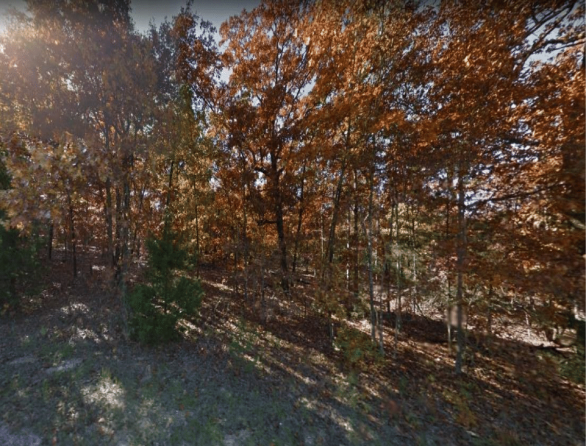 Picture of Residential Land For Sale in Horseshoe Bend, Arkansas, United States