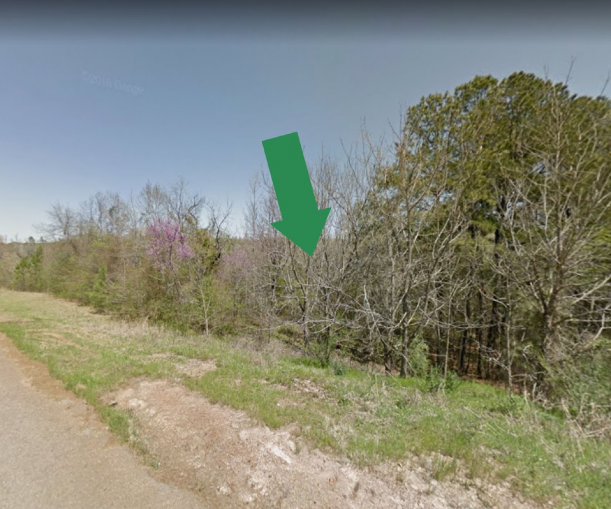 Picture of Residential Land For Sale in Marshall, Texas, United States