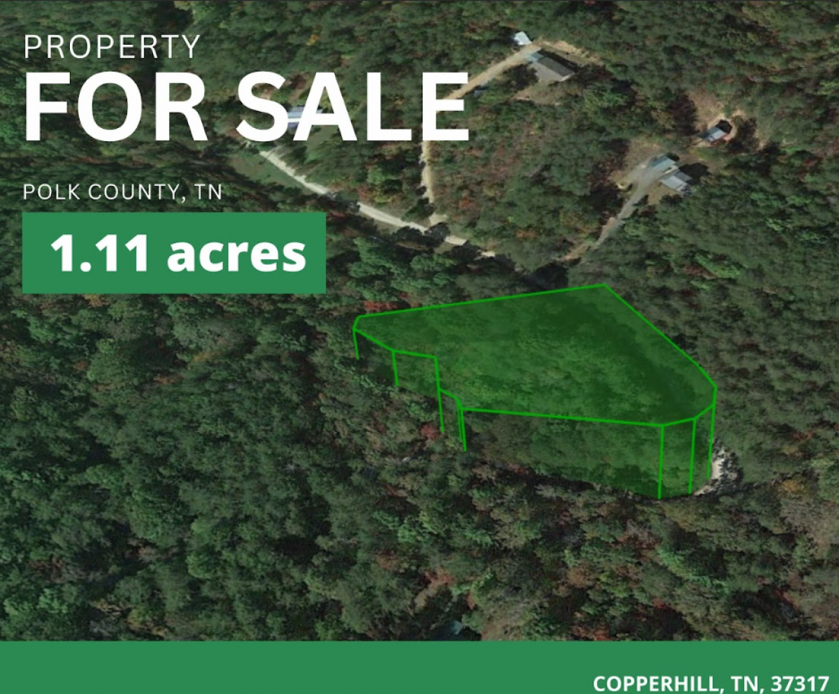 Picture of Residential Land For Sale in Copperhill, Tennessee, United States