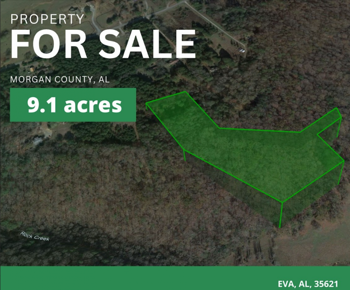 Picture of Residential Land For Sale in Eva, Alabama, United States