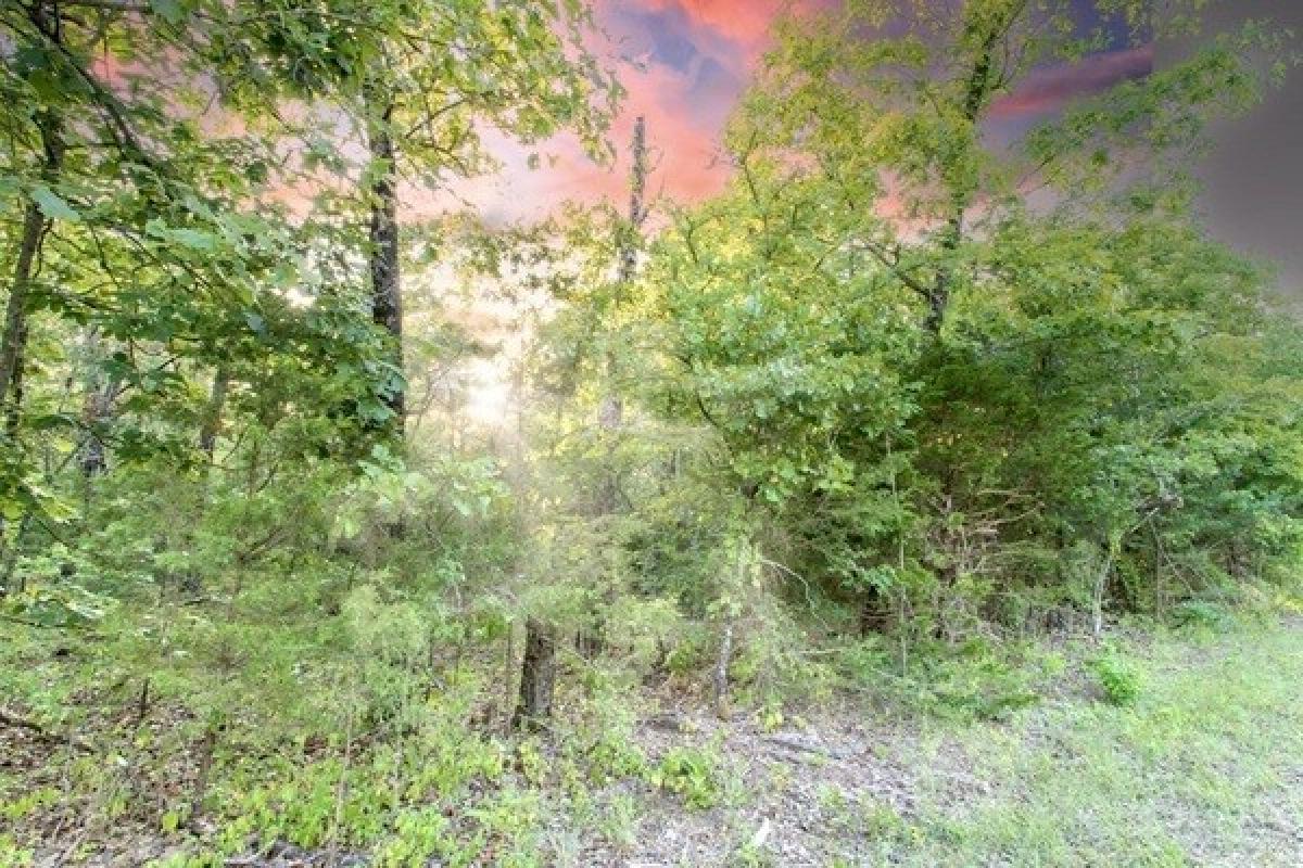 Picture of Residential Land For Sale in Horseshoe Bend, Arkansas, United States