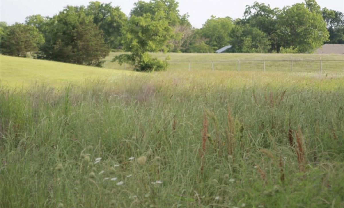 Picture of Residential Land For Sale in Commerce, Texas, United States