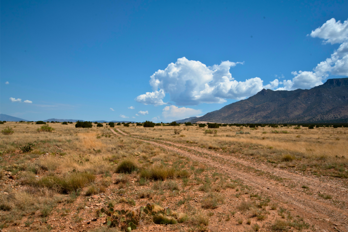 Picture of Residential Land For Sale in Los Lunas, New Mexico, United States