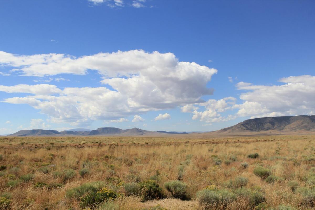 Picture of Residential Land For Sale in San Luis, Colorado, United States