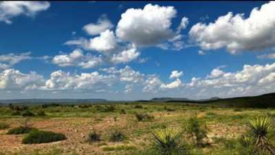 Residential Land For Sale in Presidio, Texas