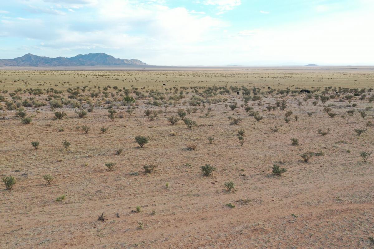 Picture of Residential Land For Sale in Belen, New Mexico, United States