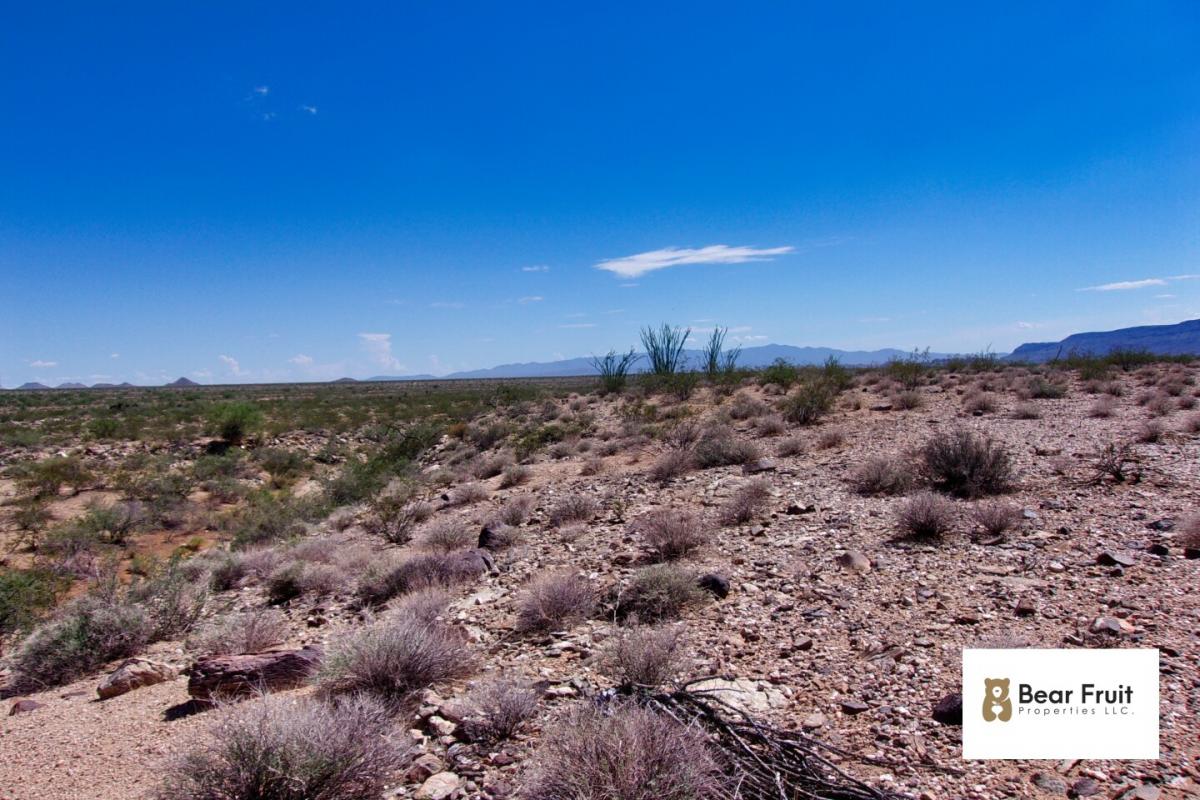 Picture of Residential Land For Sale in Yucca, Arizona, United States