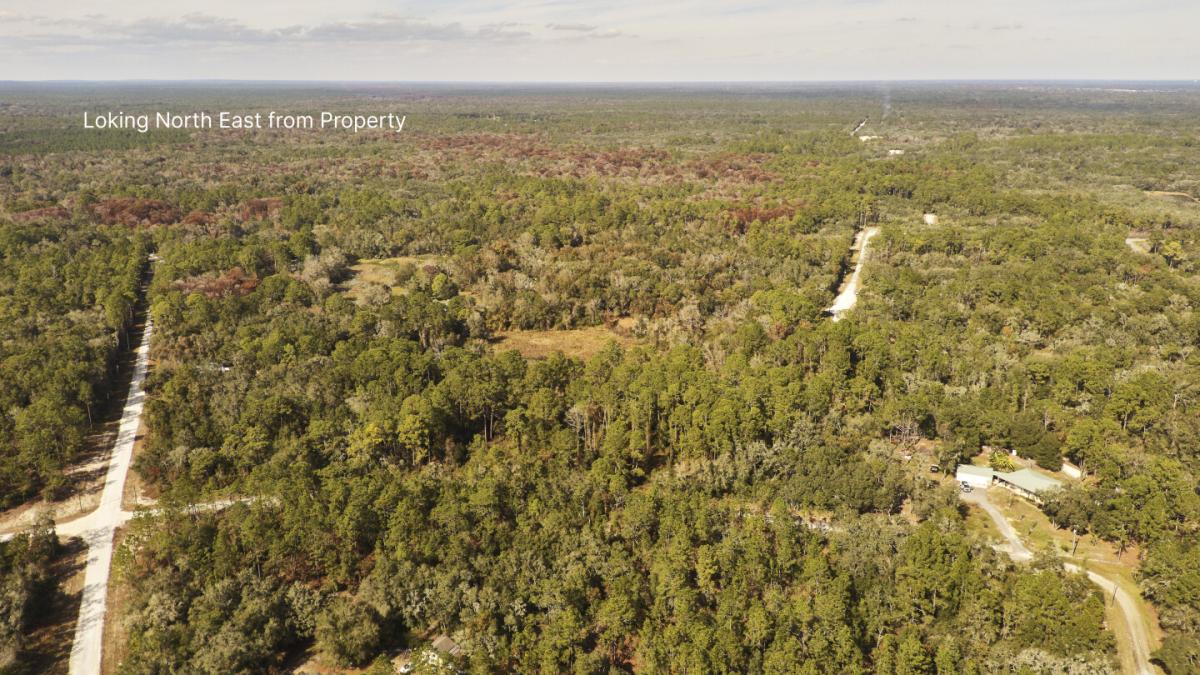 Picture of Residential Land For Sale in Ridge Manor, Florida, United States