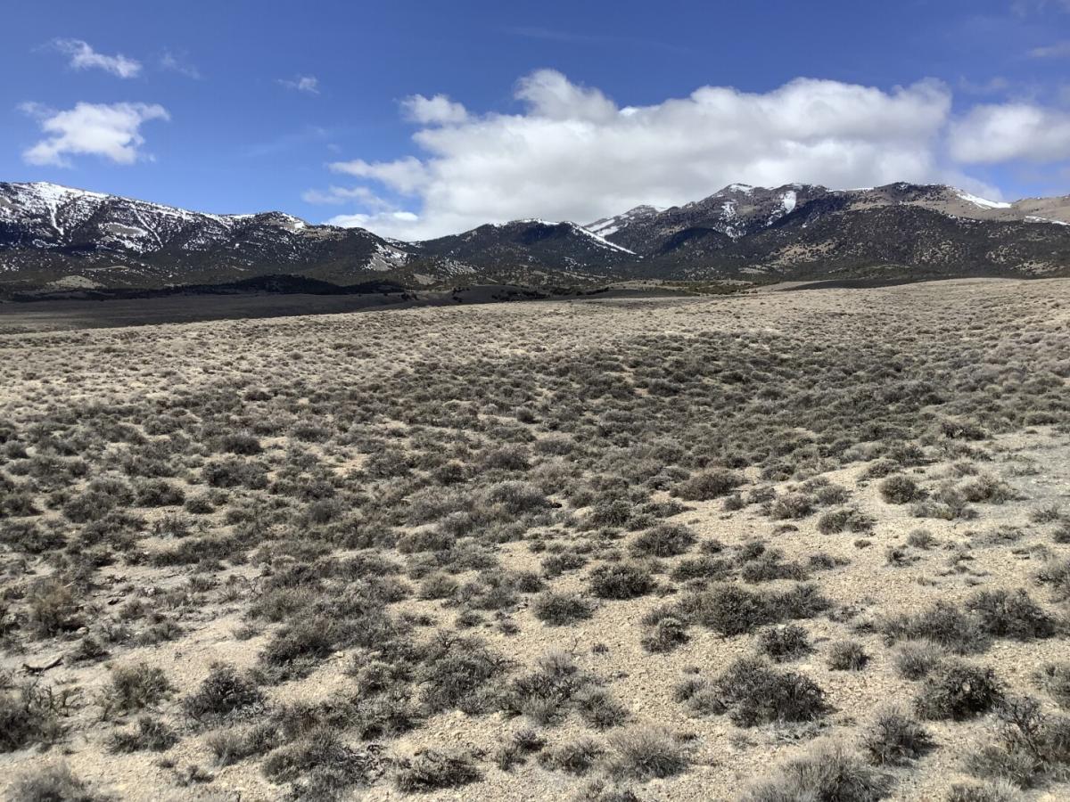 Picture of Residential Land For Sale in Montello, Nevada, United States