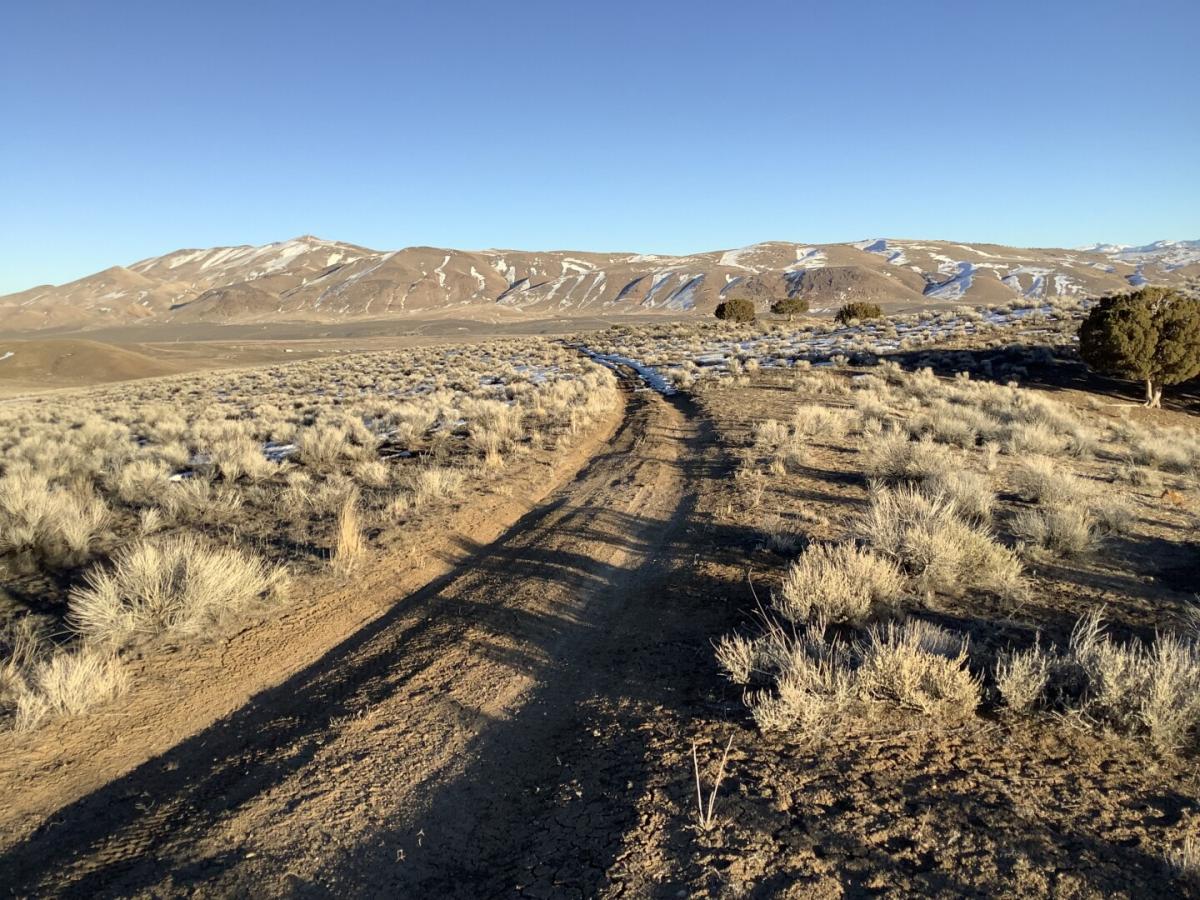 Picture of Residential Land For Sale in Elko, Nevada, United States