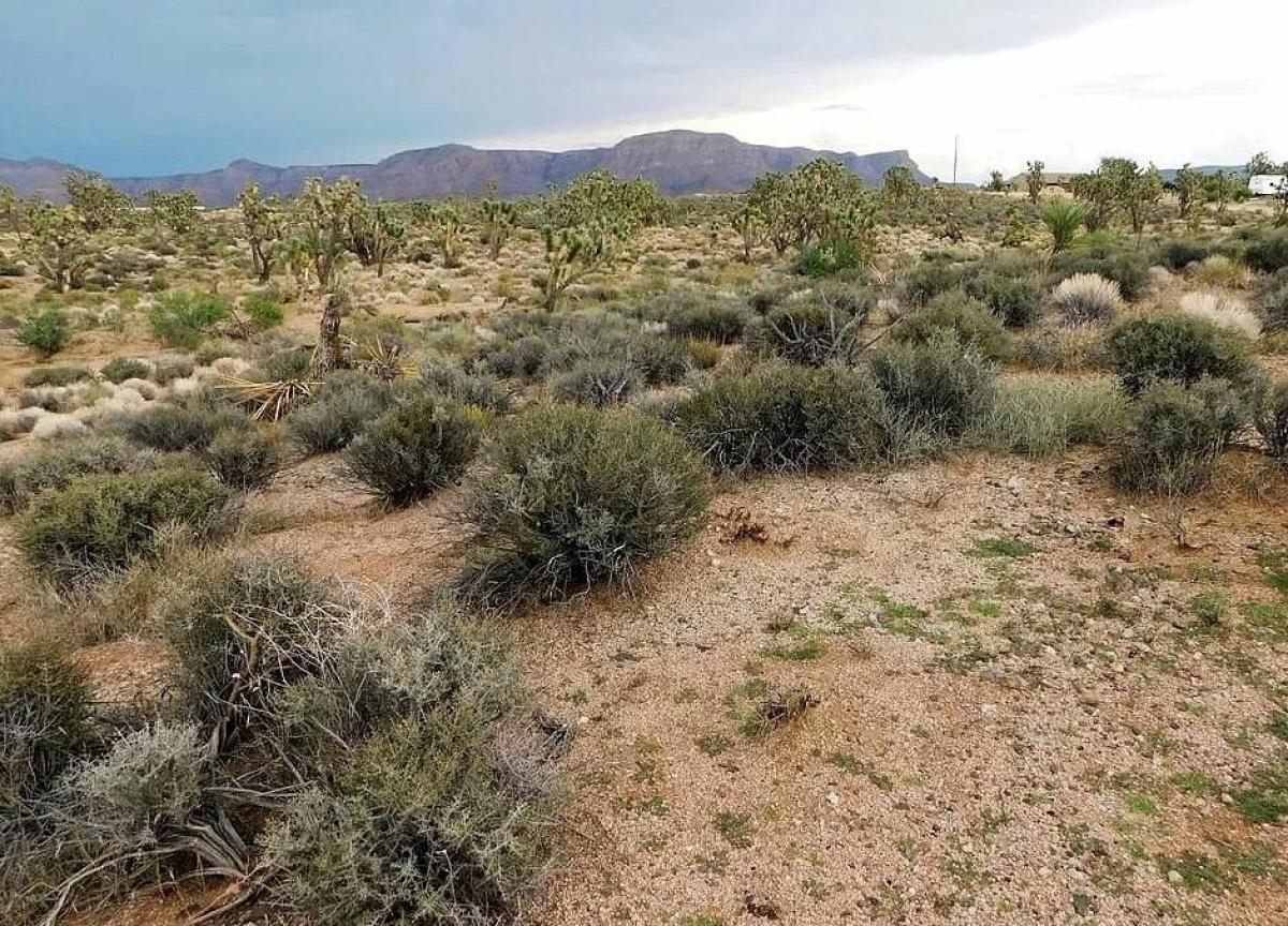 Picture of Residential Land For Sale in Meadview, Arizona, United States