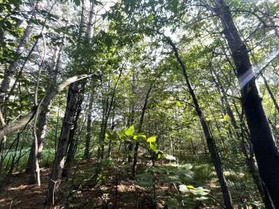 Residential Land For Sale in Garrison, Minnesota