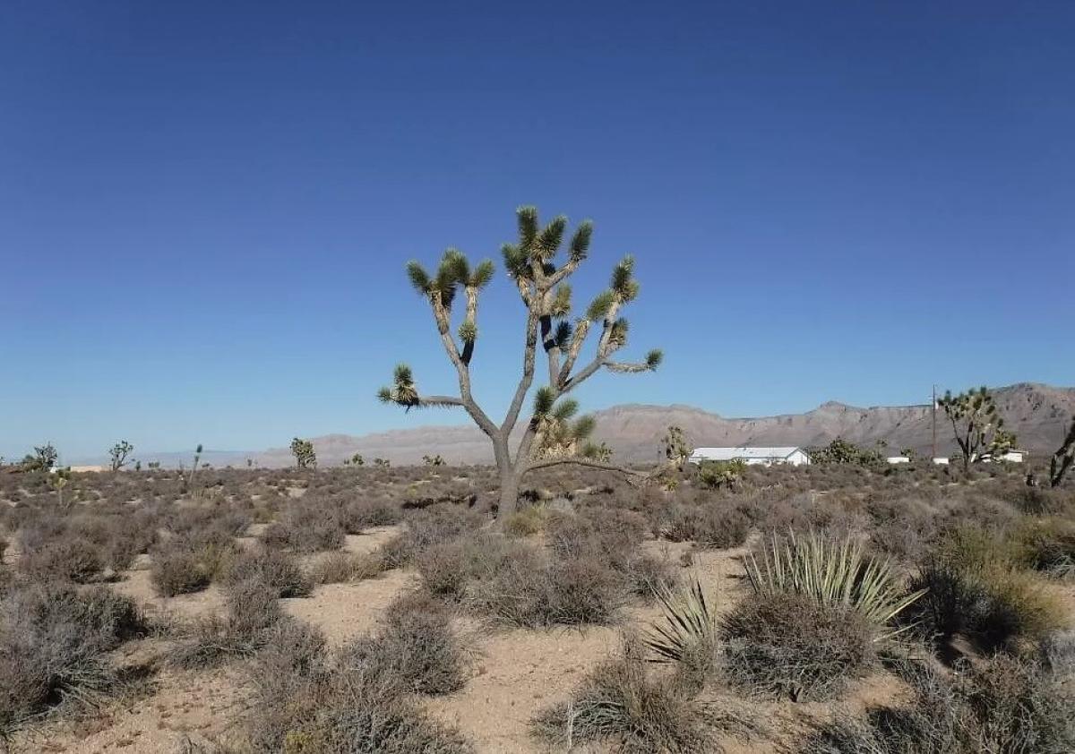 Picture of Residential Land For Sale in Meadview, Arizona, United States