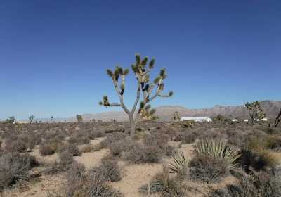 Residential Land For Sale in Meadview, Arizona