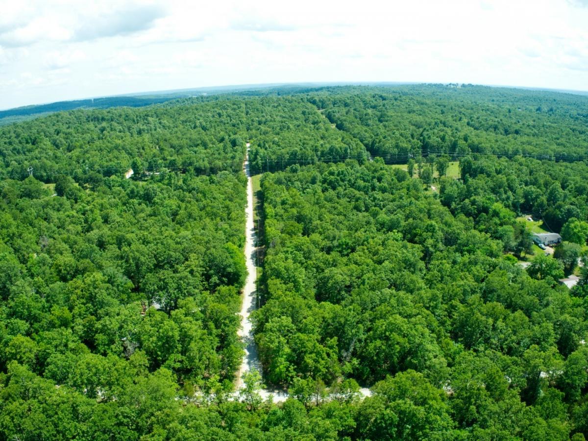 Picture of Residential Land For Sale in Horseshoe Bend, Arkansas, United States