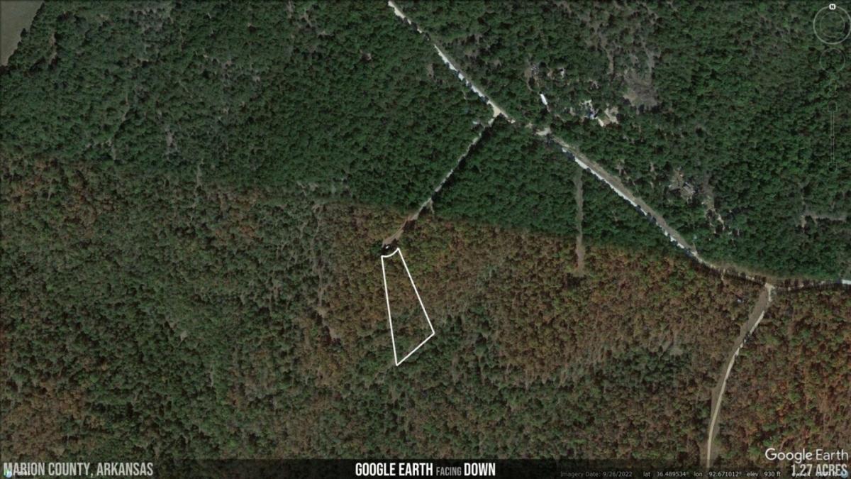 Picture of Residential Land For Sale in Yellville, Arkansas, United States