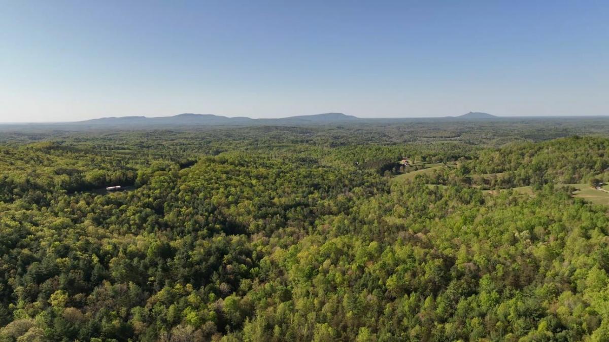 Picture of Residential Land For Sale in Stuart, Virginia, United States