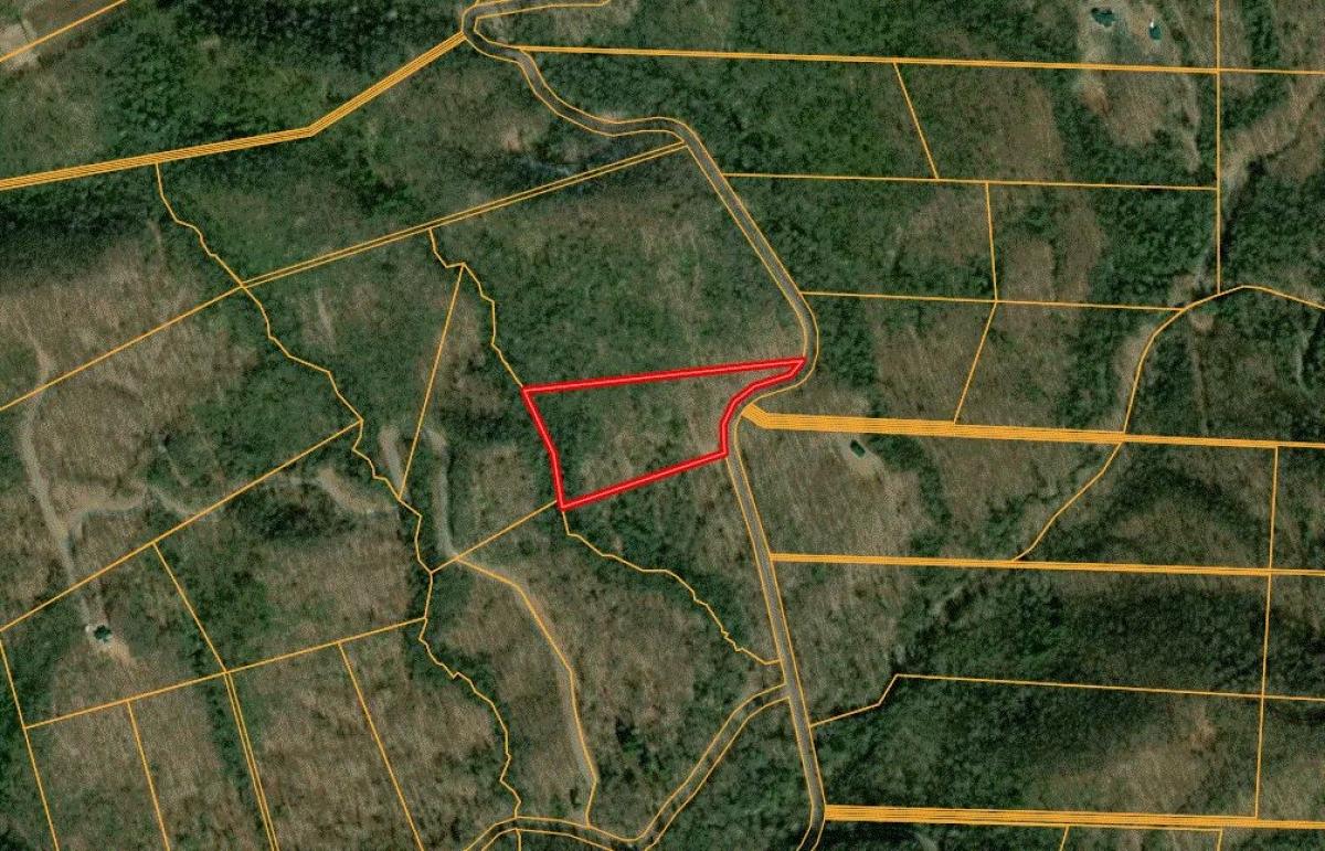 Picture of Residential Land For Sale in Bastian, Virginia, United States