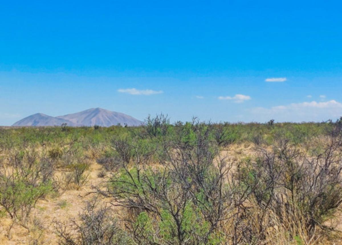 Picture of Residential Land For Sale in Fort Hancock, Texas, United States