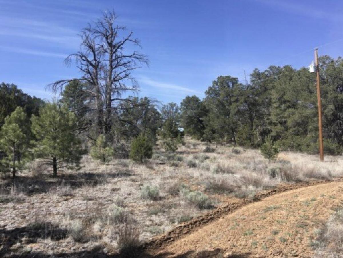 Picture of Residential Land For Sale in Pinehill, New Mexico, United States