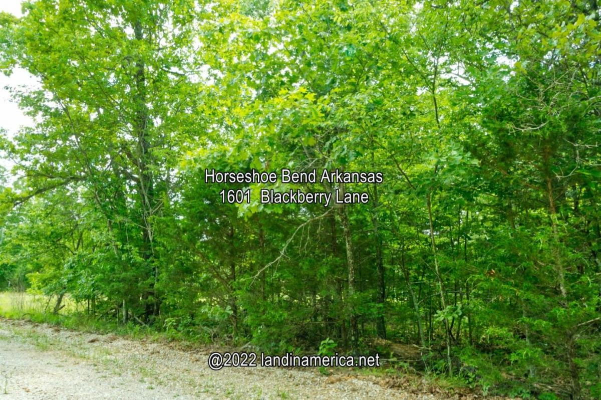 Picture of Residential Land For Sale in Horseshoe Bend, Arkansas, United States