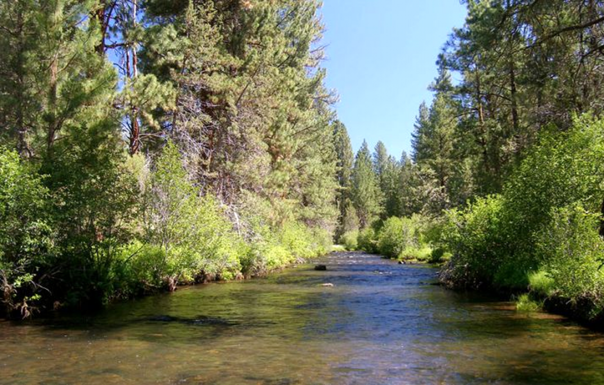 Picture of Residential Land For Sale in Sprague River, Oregon, United States