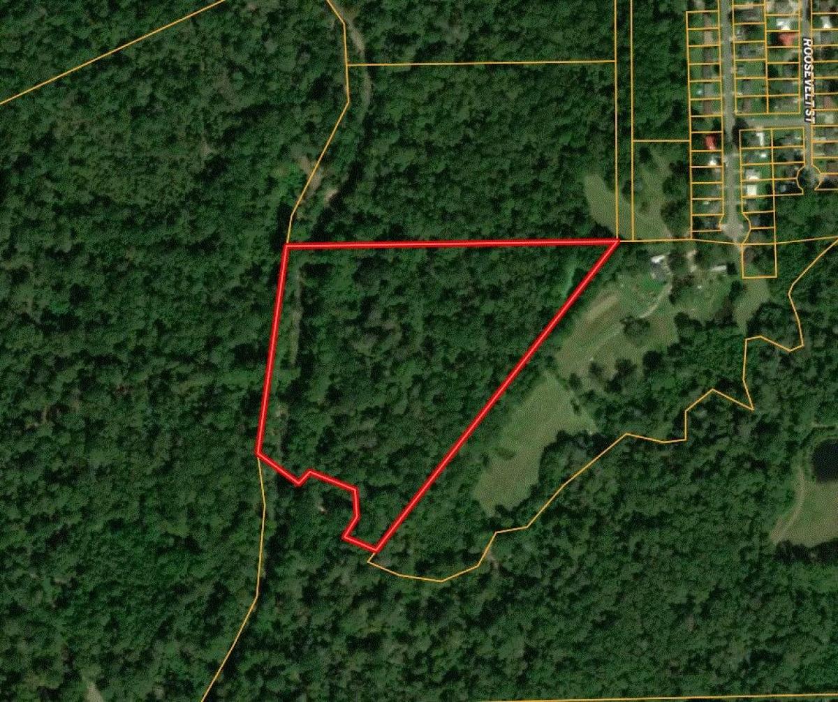 Picture of Residential Land For Sale in Clinton, Louisiana, United States